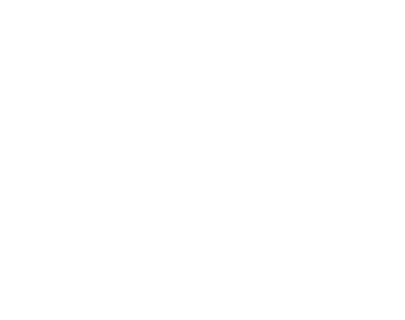 BAMA BEAUTY LAB