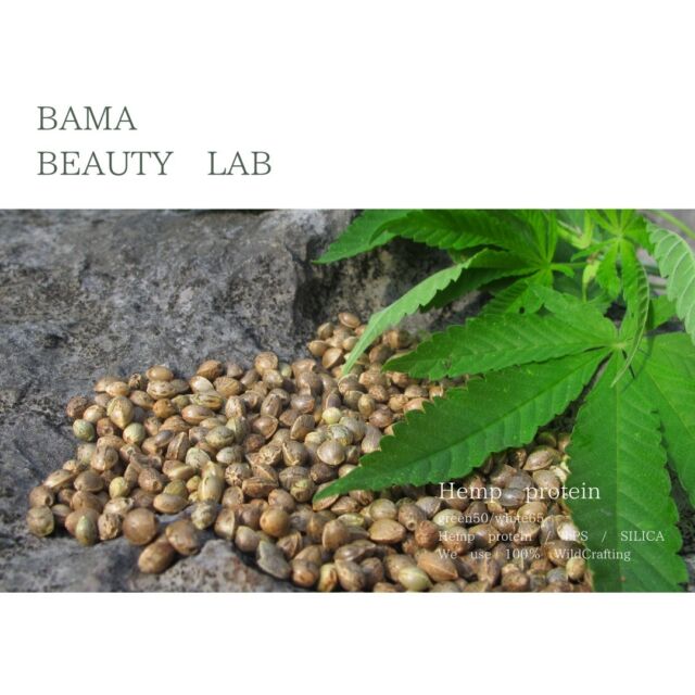 巴馬ヘンププロテイン | BAMA BEAUTY LAB